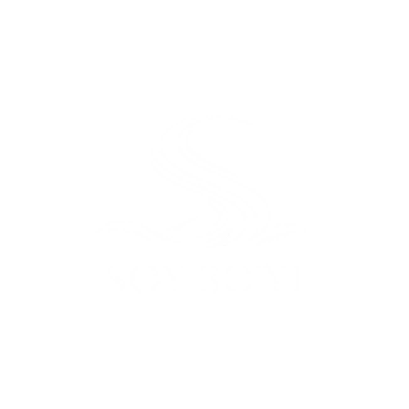 Soy Bo'yi